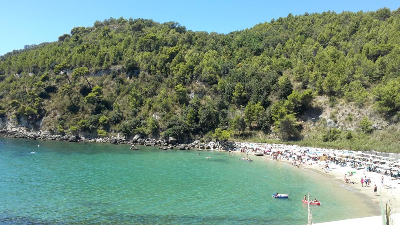 La Marina Gardens Beach 스카우리 외부 사진