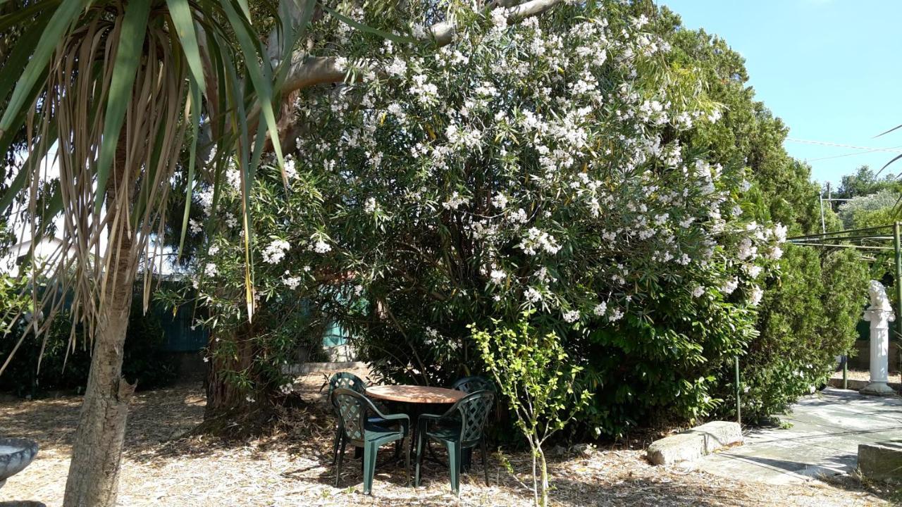 La Marina Gardens Beach 스카우리 외부 사진